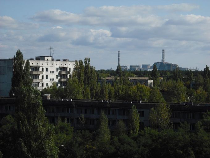 Vemos parte del mismo edificio que sobresale la torre y mucha vegetación