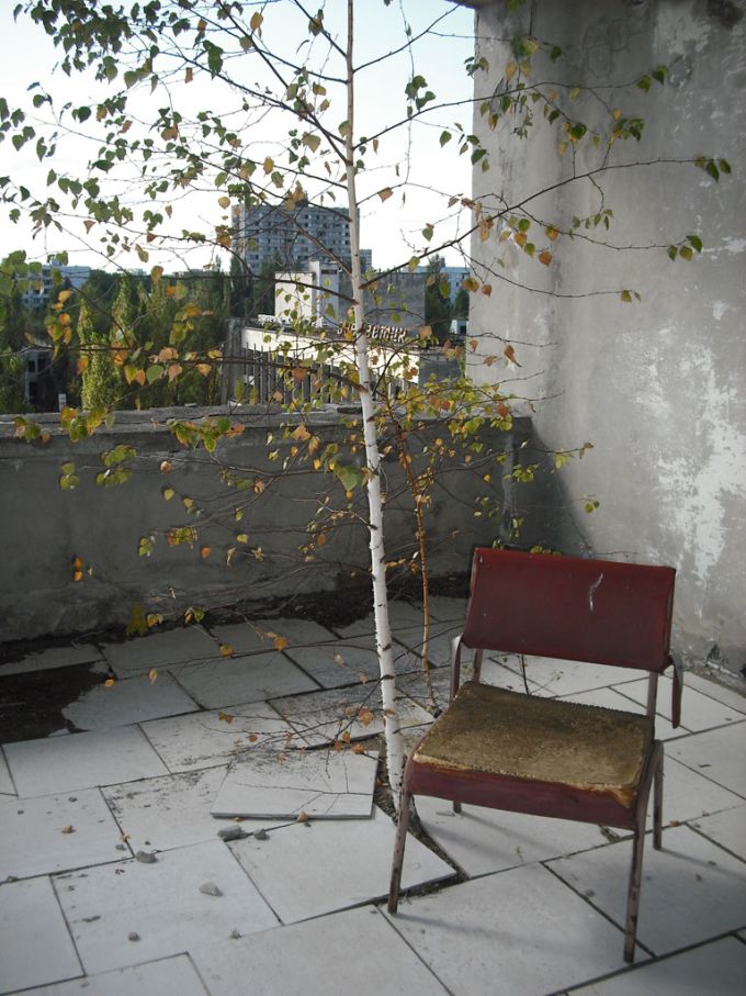 Vemos como la ruina de una piscina o una fuente, vemos también hojas  amarillentas de árboles