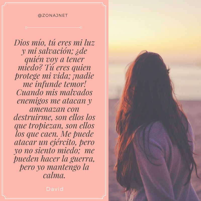 Vemos un fondo rosado donde con letras negras un mensaje sobre el temor del rey David