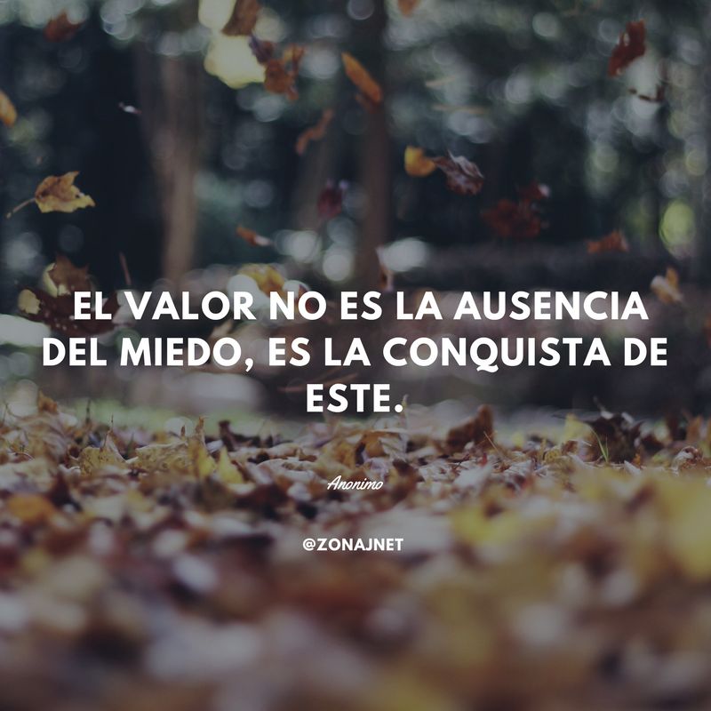 Hojas secas en la mitad del bosque dando vueltas en el aire y un mensaje sobre el valor