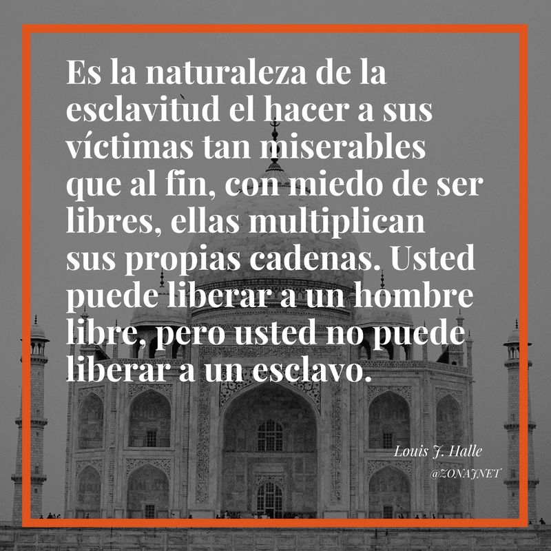 Una mezquita en primer plano con minaretes a su alrededor