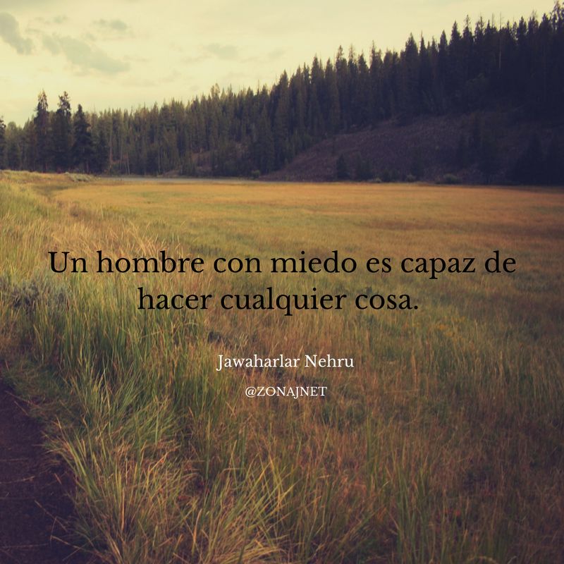 Un campo cubierto de pastos con árboles al fondo