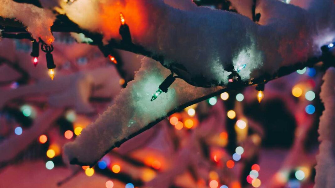 Primer plano de ramas nevadas con pequeñas luces de colores encendidas y un fondo desenfocado con puntos de luz brillantes.