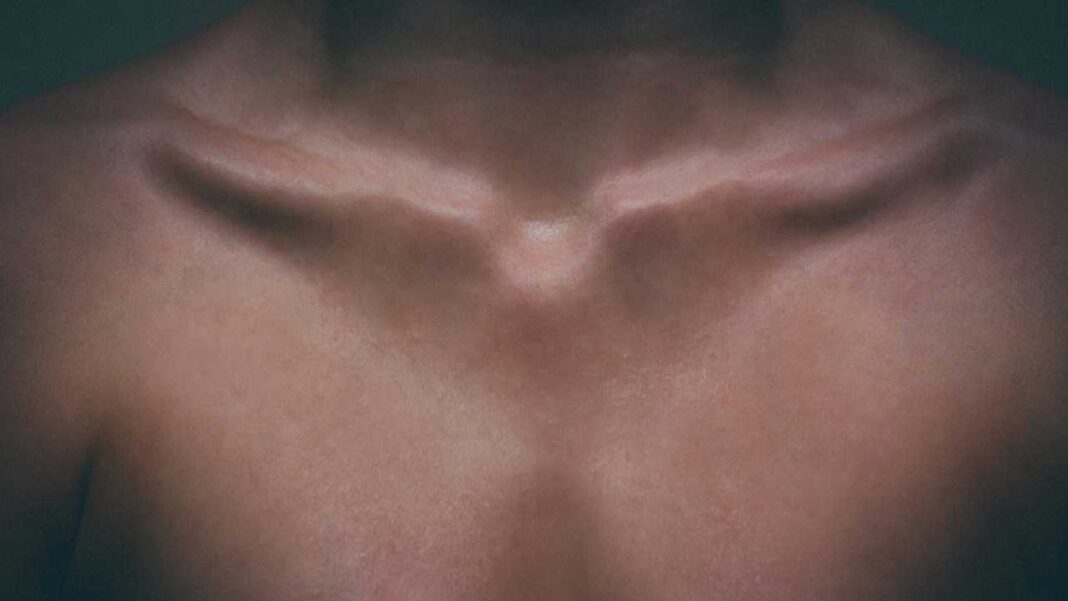 Primer plano de la parte superior del pecho y el cuello de una persona, con clavículas marcadas y piel iluminada por una luz tenue.