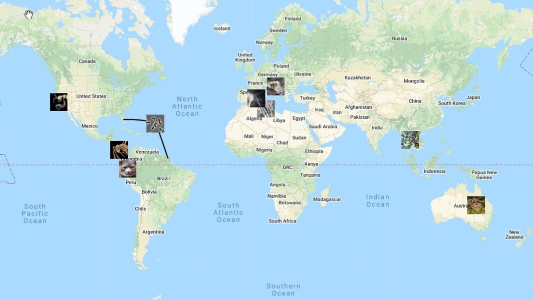 Mapamundi con nombres de países y océanos, varias fotografías cuadradas pequeñas sobre distintas regiones y líneas negras que conectan algunas imágenes.