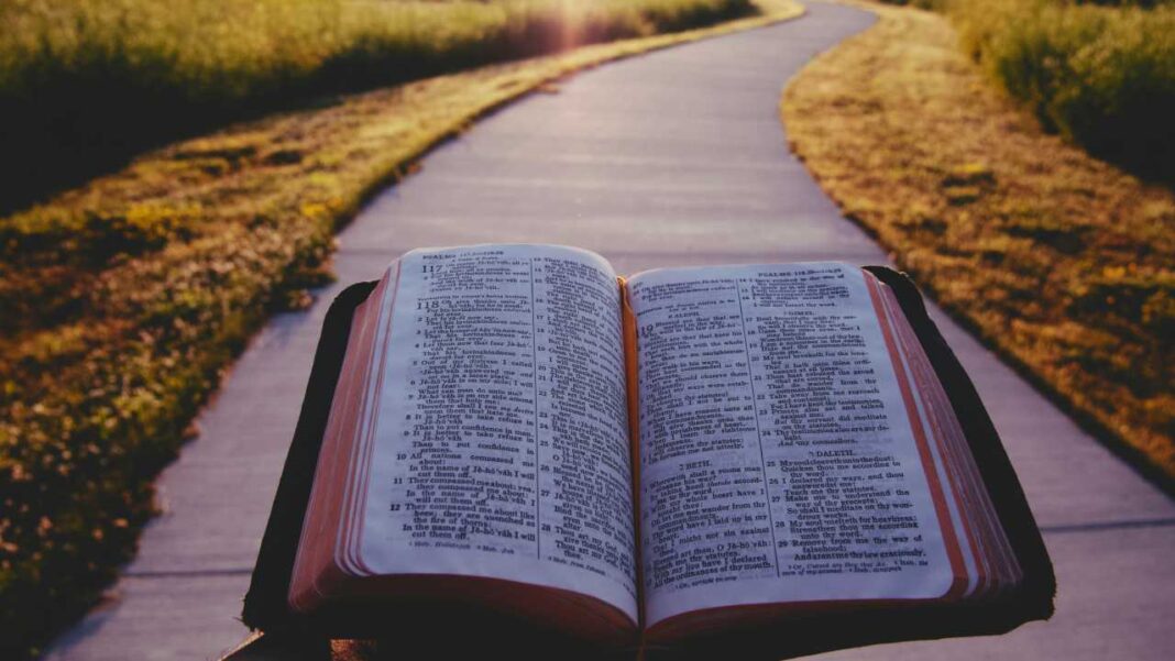 Libro abierto con páginas de texto bíblico sostenido sobre un sendero de concreto entre césped, con luz solar al fondo.