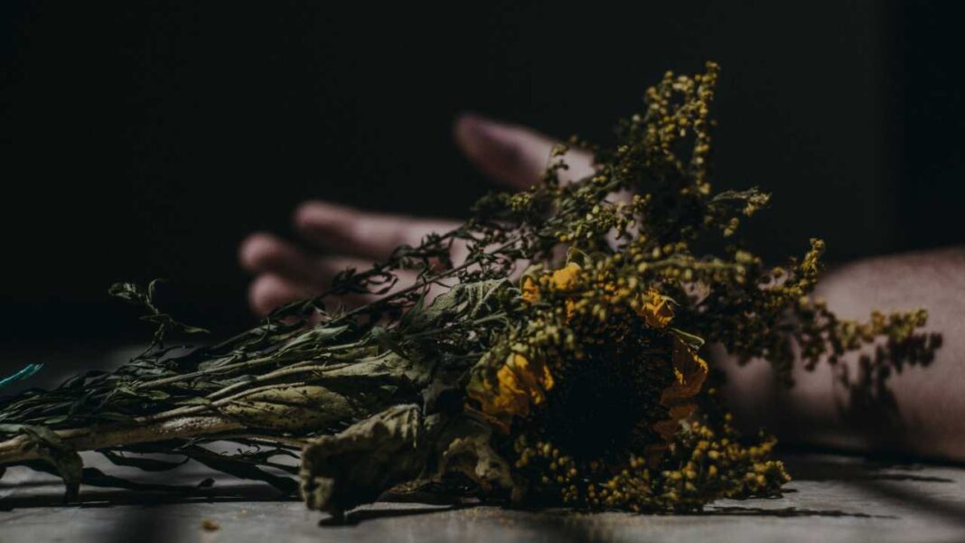 Flores marchitas de pétalos amarillos y tallos secos sobre una superficie, con una mano y un brazo desenfocados al fondo en penumbra.