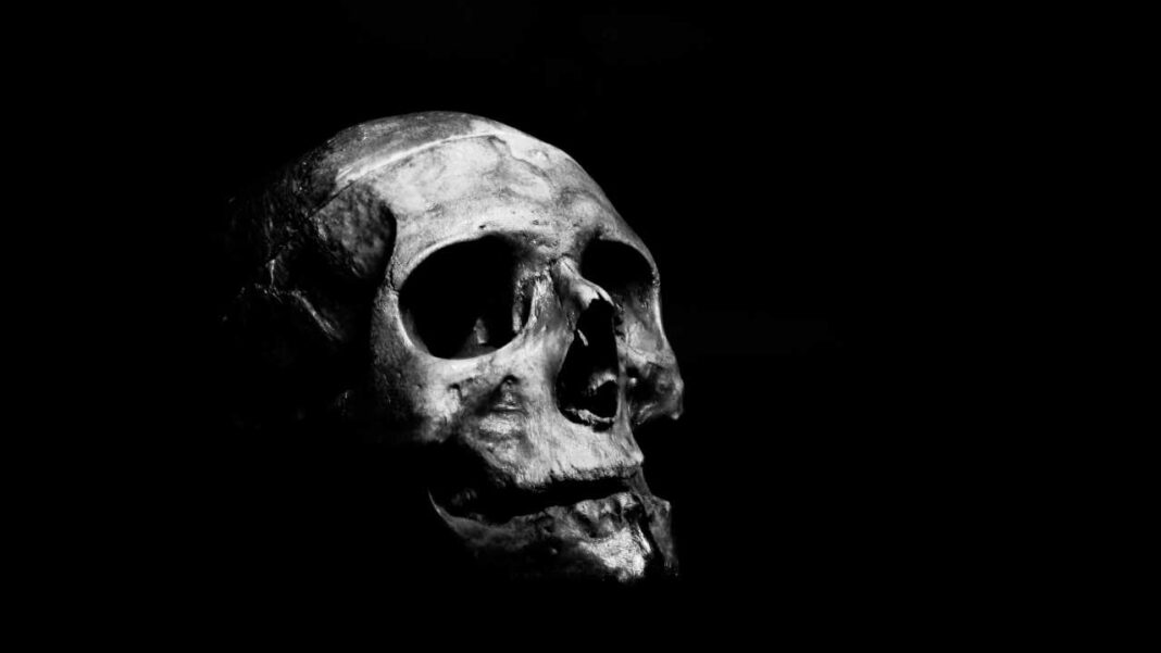 Un cráneo humano de tonos claros y oscuros aparece inclinado sobre un fondo negro, con cuencas vacías y mandíbula parcialmente visible.