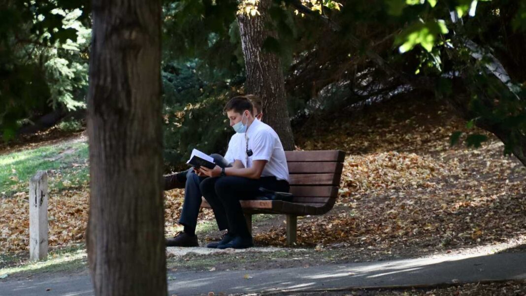 Un hombre con mascarilla sentado en un banco de madera lee un libro en un parque con árboles y hojas secas.